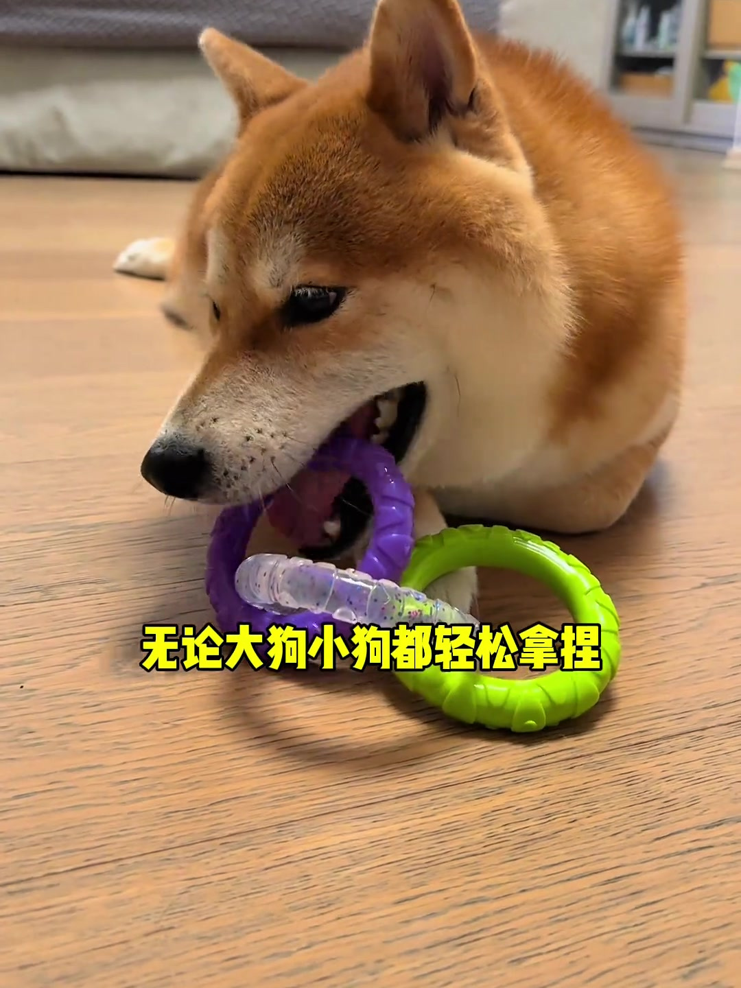 没有小狗狗能拒绝这个三连环的咬胶玩具!