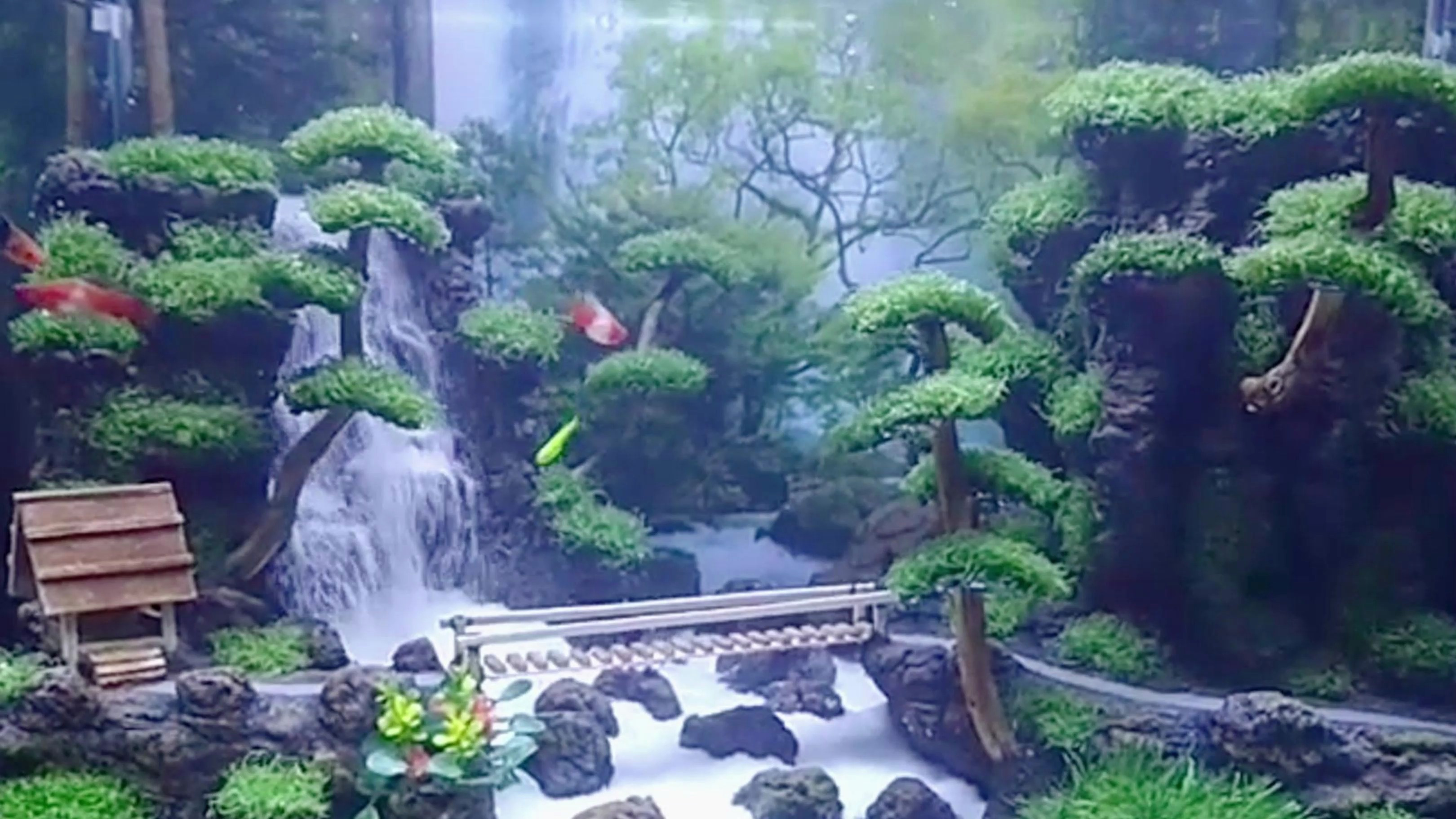 你见过这样的鱼缸造景吗