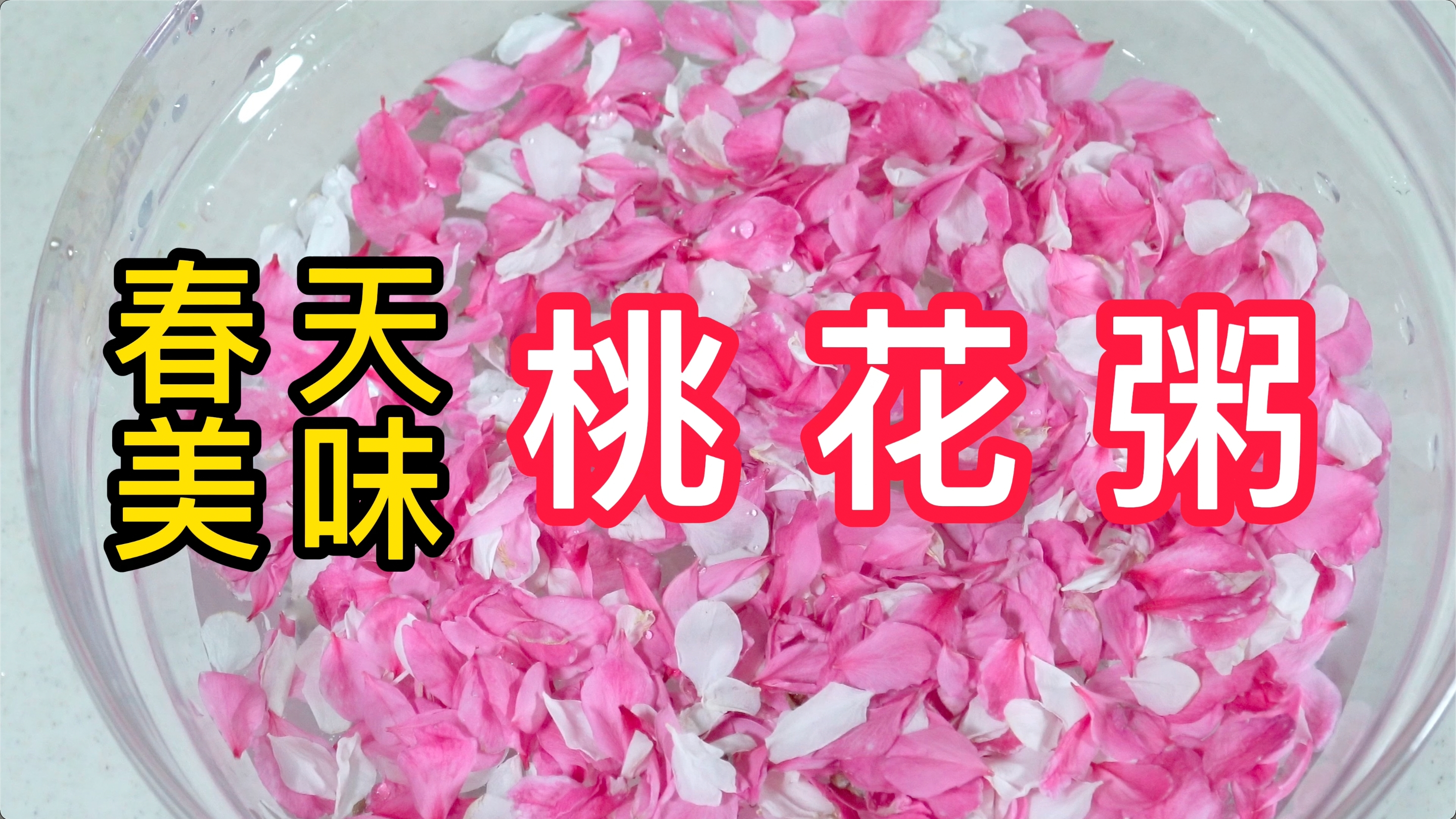 桃花别拿来欣赏了,赶紧摘点拿回家做桃花粥,香浓可口,值得一试