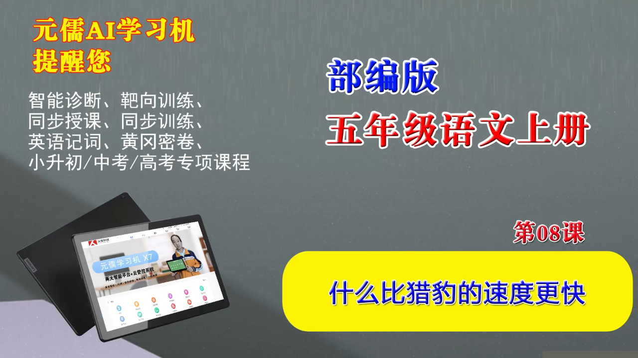 部编版五年级语文上册视频教学课程08《什么比猎豹的速度更快》