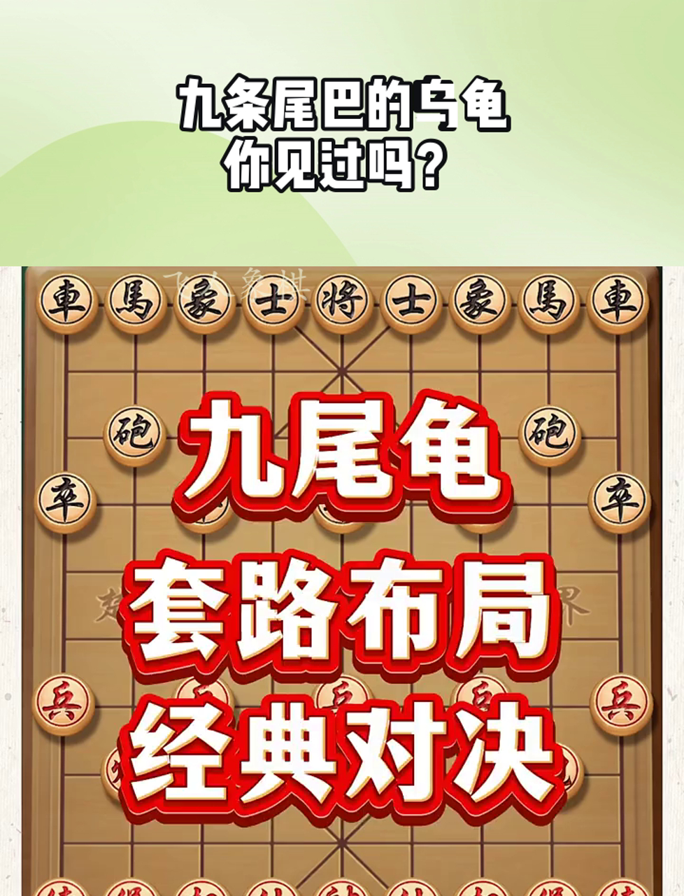 九尾龟象棋布局讲解图片