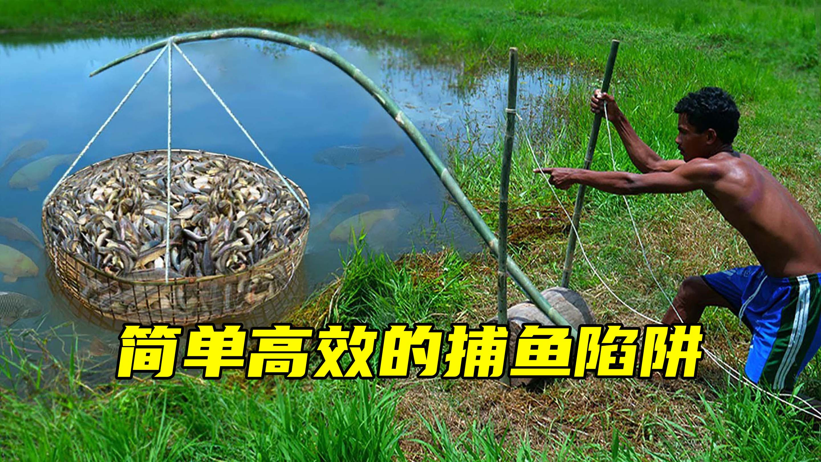 小伙自制简单的捕鱼陷阱,只需要几根竹子,10分钟就收获半桶鱼