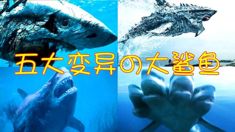 这五部电影中的变异鲨鱼你觉得哪个更可怕泰森徒手杀大鲨鱼