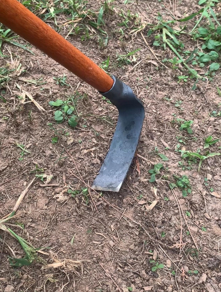 家用锰钢小锄头除草松土翻地种菜种花园艺工具户外开路三齿耙子