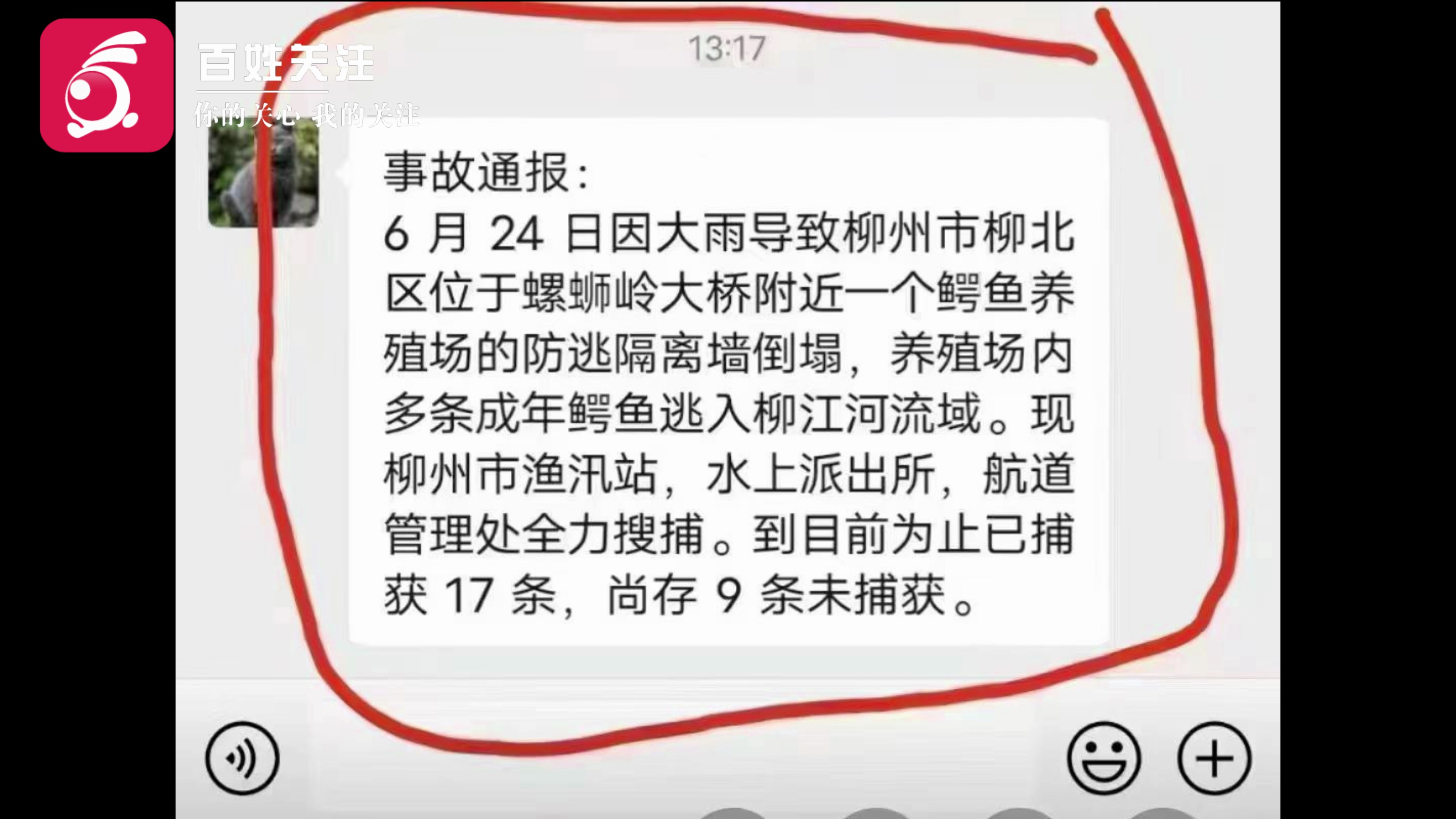 柳州一养殖场26条成年鳄鱼逃入柳江河?官方:假消息 已立案调查