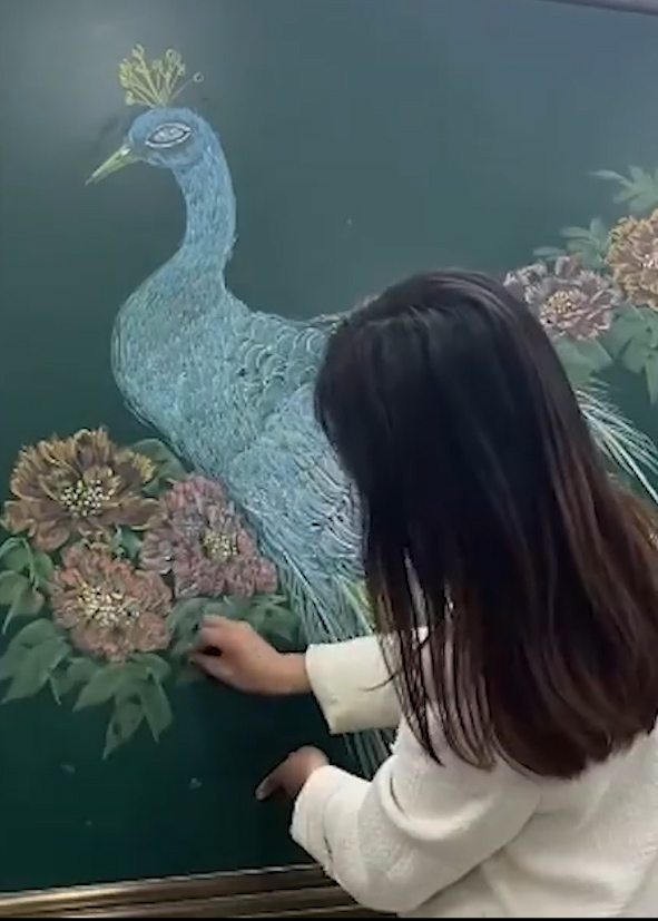 数学老师花1小时在黑板上画出彩色孔雀,学生们舍不得擦黑板-度小视