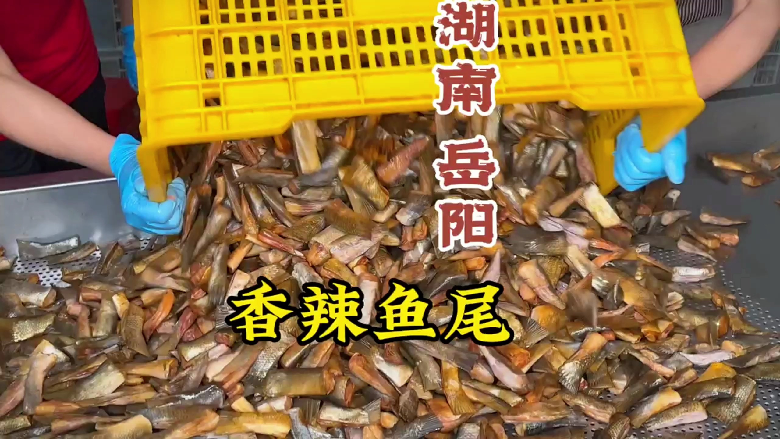 湖南岳阳香辣鱼尾,太辣了!