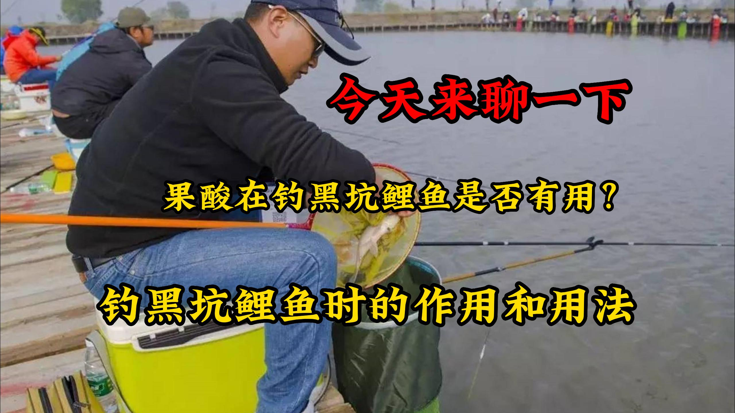 今天来聊一下,果酸在钓黑坑鲤鱼是否有用?钓鲤鱼时的作用和用法