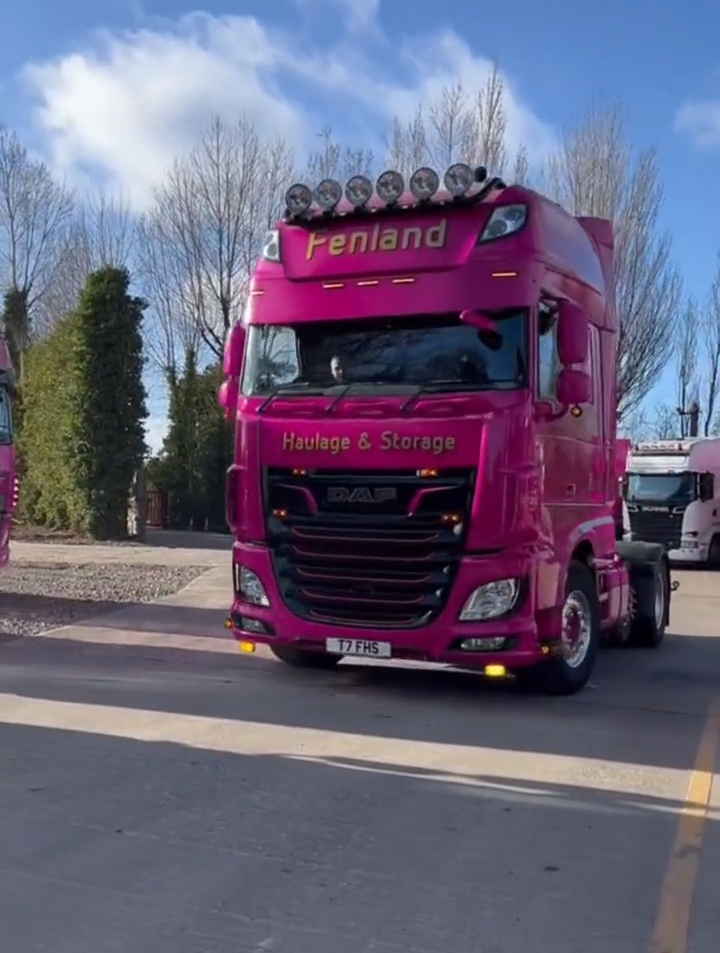 英国达夫daf粉色重卡荷兰达夫