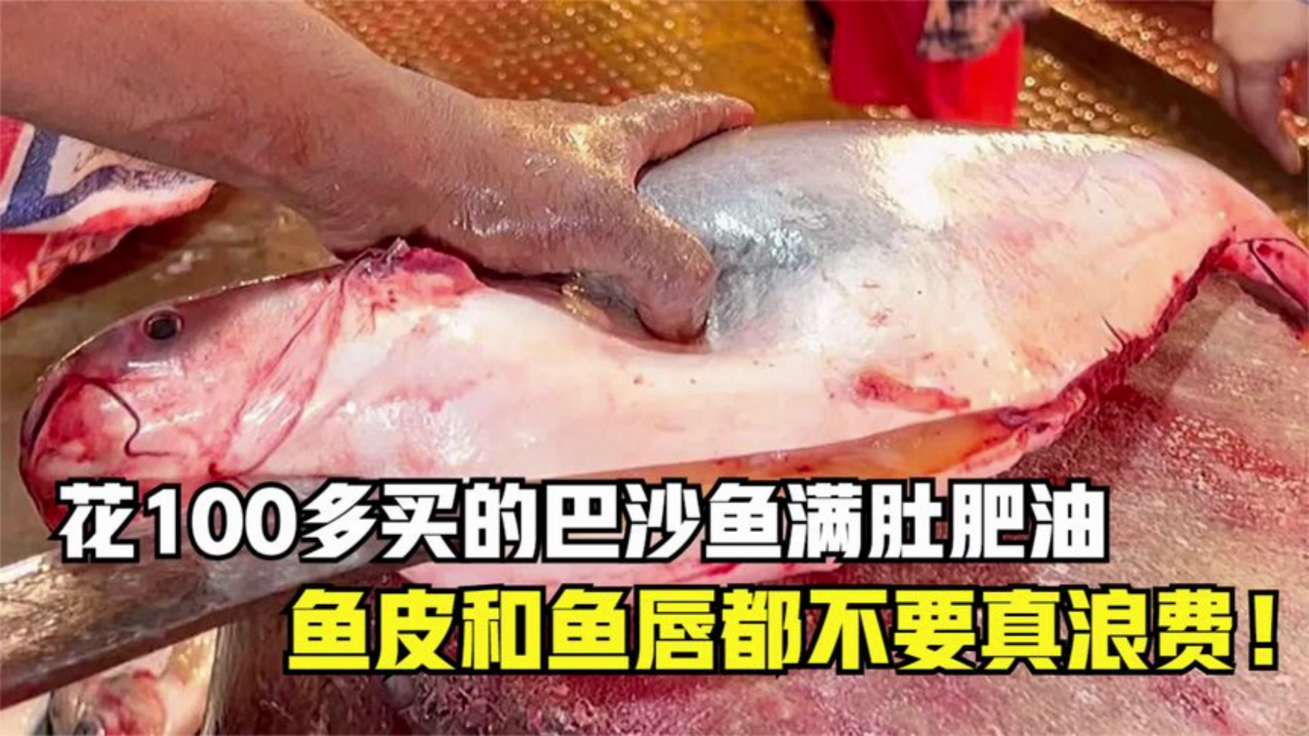 老板花100多买巴沙鱼,切开满肚肥油,鱼皮和鱼唇都不要,真浪费