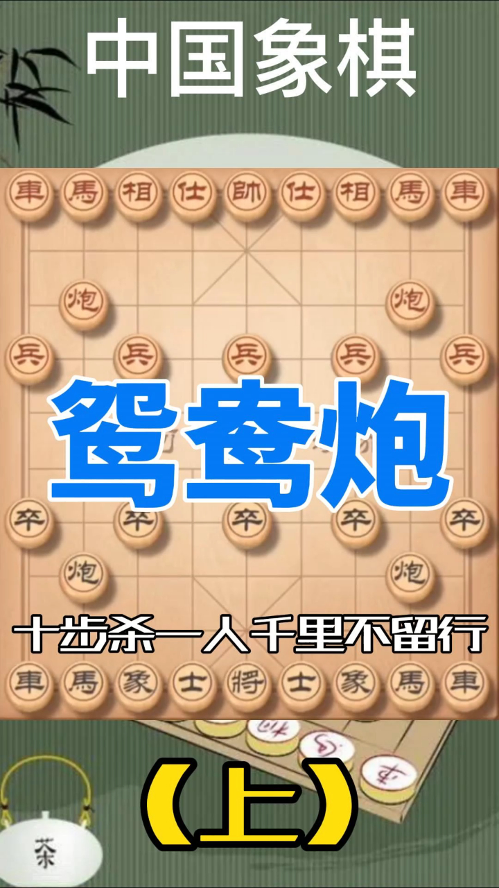 鸳鸯炮妙手不断:十步杀一人千里不留行(上)-度小视