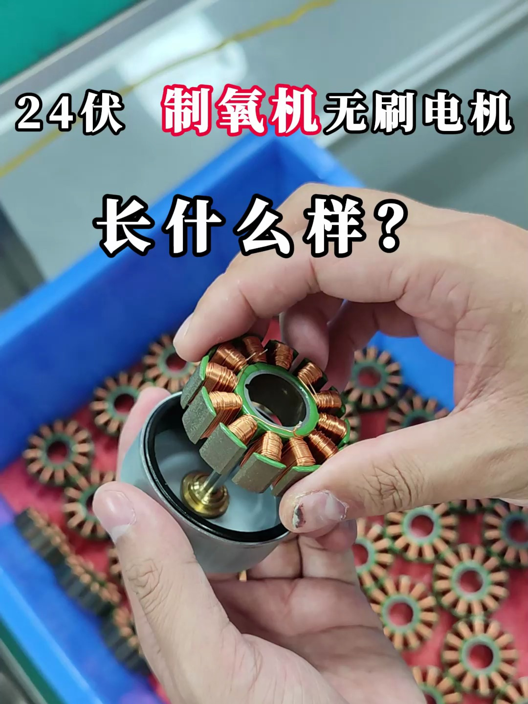 24伏,落地扇专用无刷电机