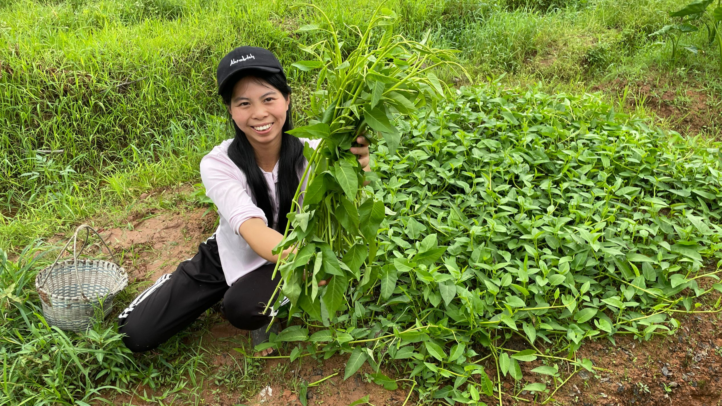 吃空心菜的季节到了,小秀去地里掐水空心菜,这种蔬菜爱吃吗?