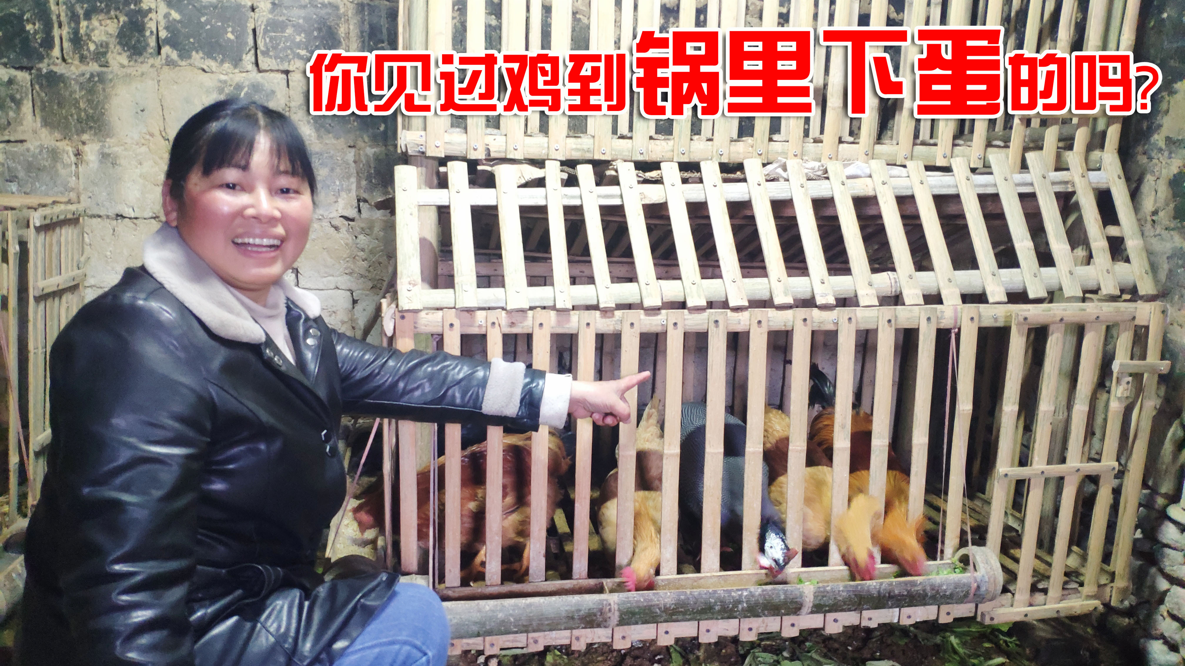 养了一年的小母鸡都没下蛋,竟在锅里发现两个惊喜,媳妇高兴坏了