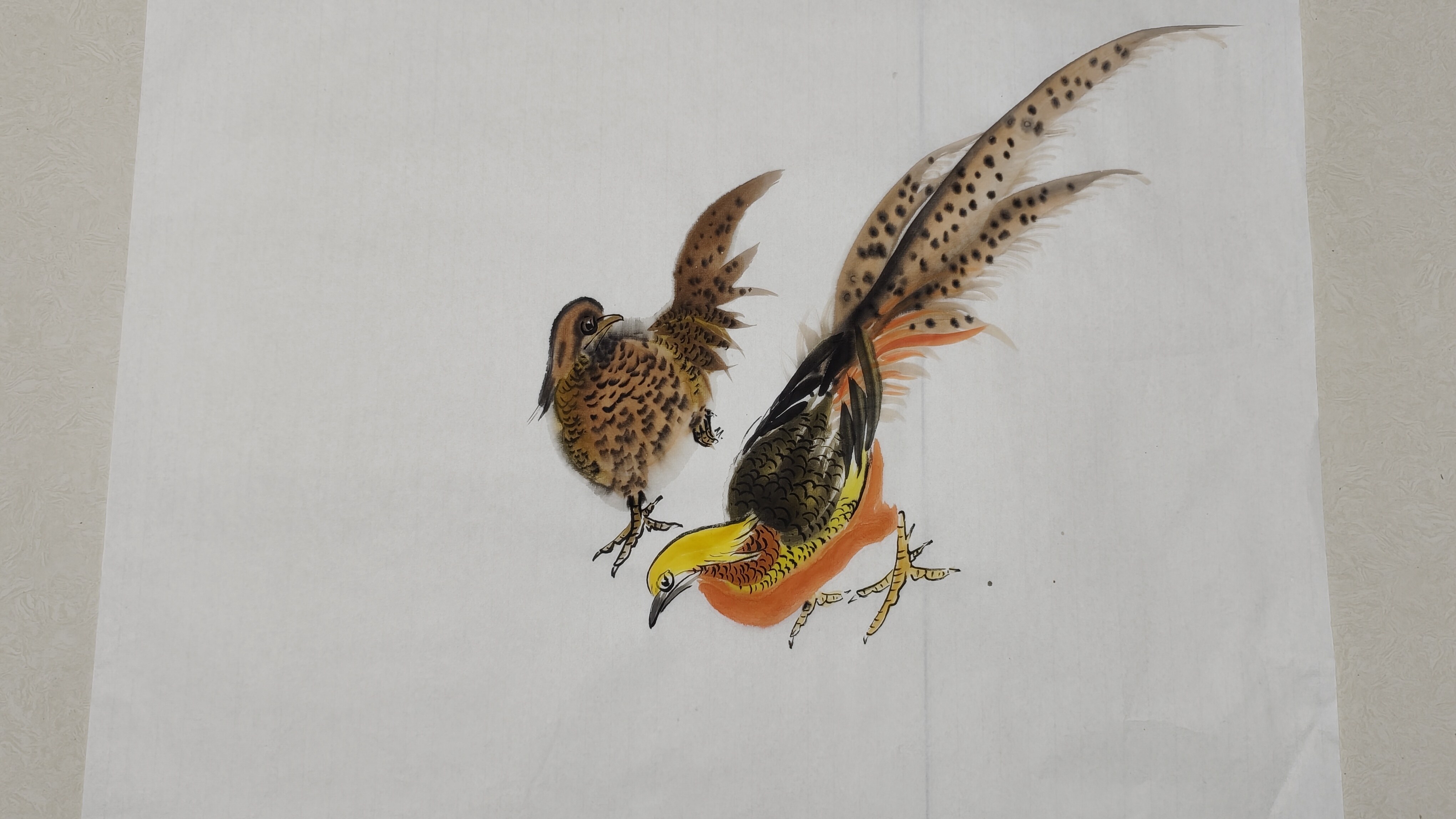国画锦鸡,雌雄画法区别,这堂课为你绘画讲解
