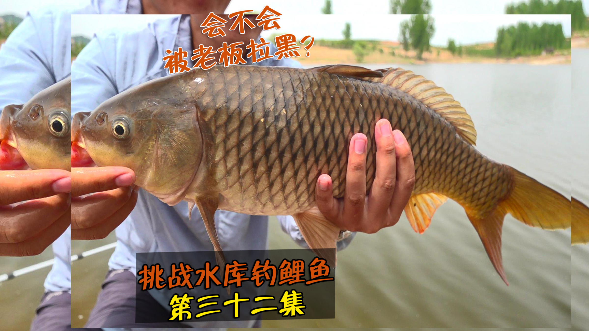 30块钱的水库,我选一个非常独的钓位,4条鲤鱼成功拿下老板
