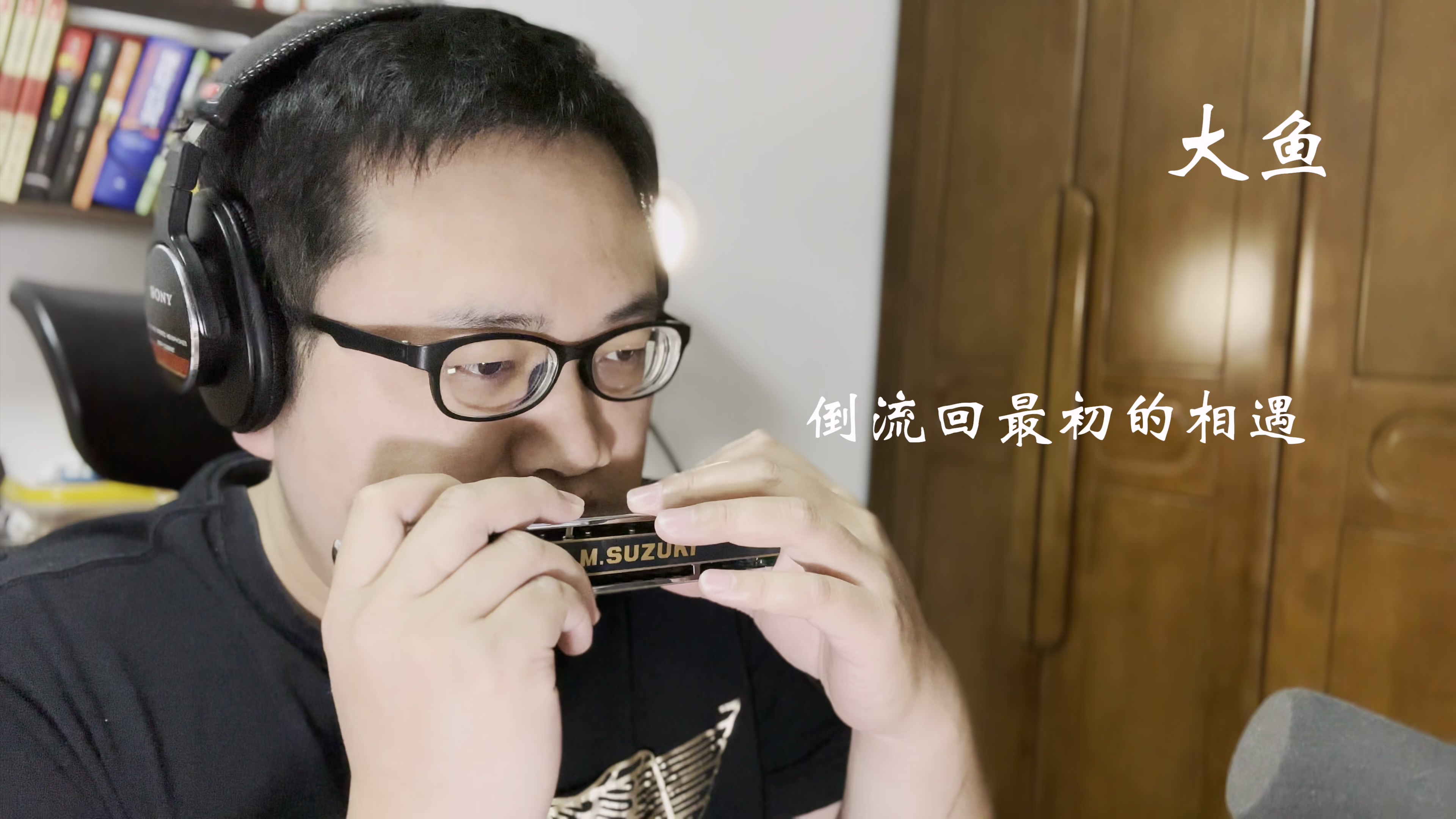 练习半音阶口琴的第八天《大鱼》