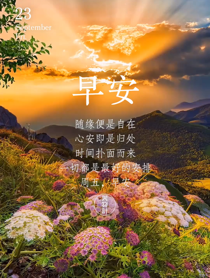 随缘便是自在心安即是归处时间扑面而来一切都是最好的安排