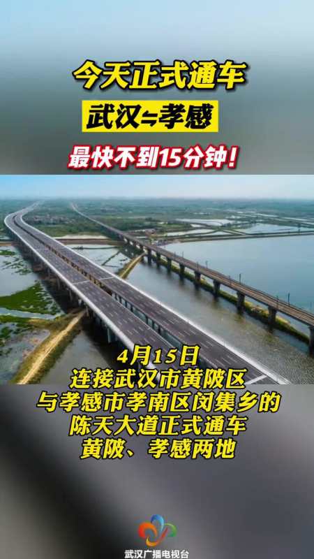 陈天大道线路图图片