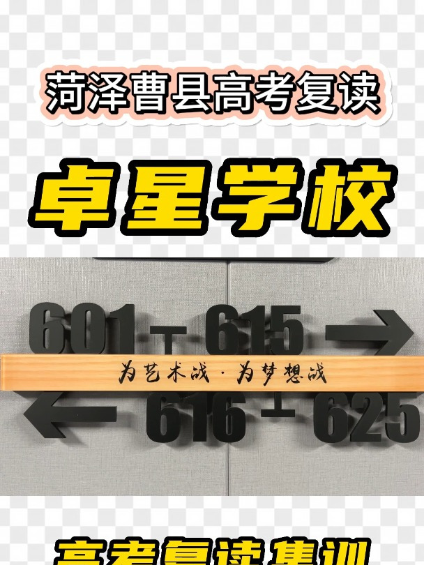 菏泽曹县艺考文化生辅导班哪个值得推荐?
