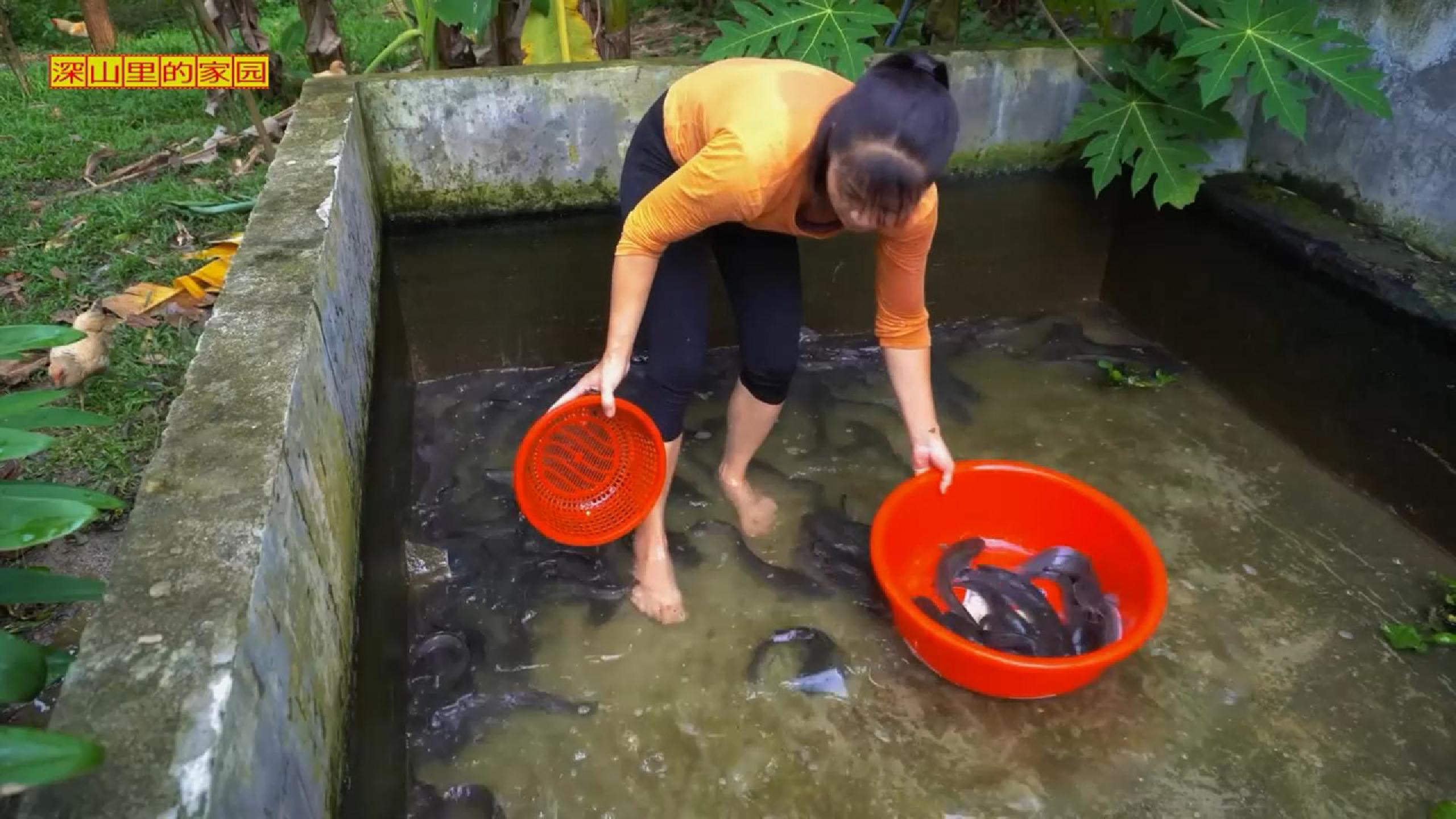 又卖出了一篓鲶鱼!这种小商小贩的生意,主打的不就是一个勤快吗