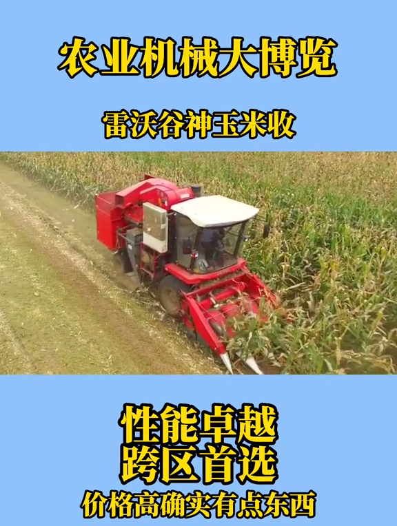 你们想看的雷沃谷神玉米收来了请不要评论就这