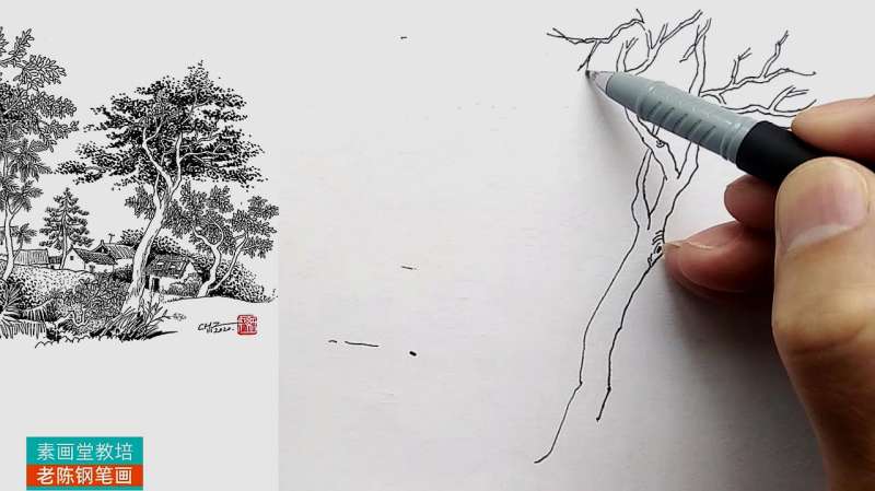 新人学习钢笔画进阶示范:树枝与树干的画法,简单实用,文化,艺术,好看视频