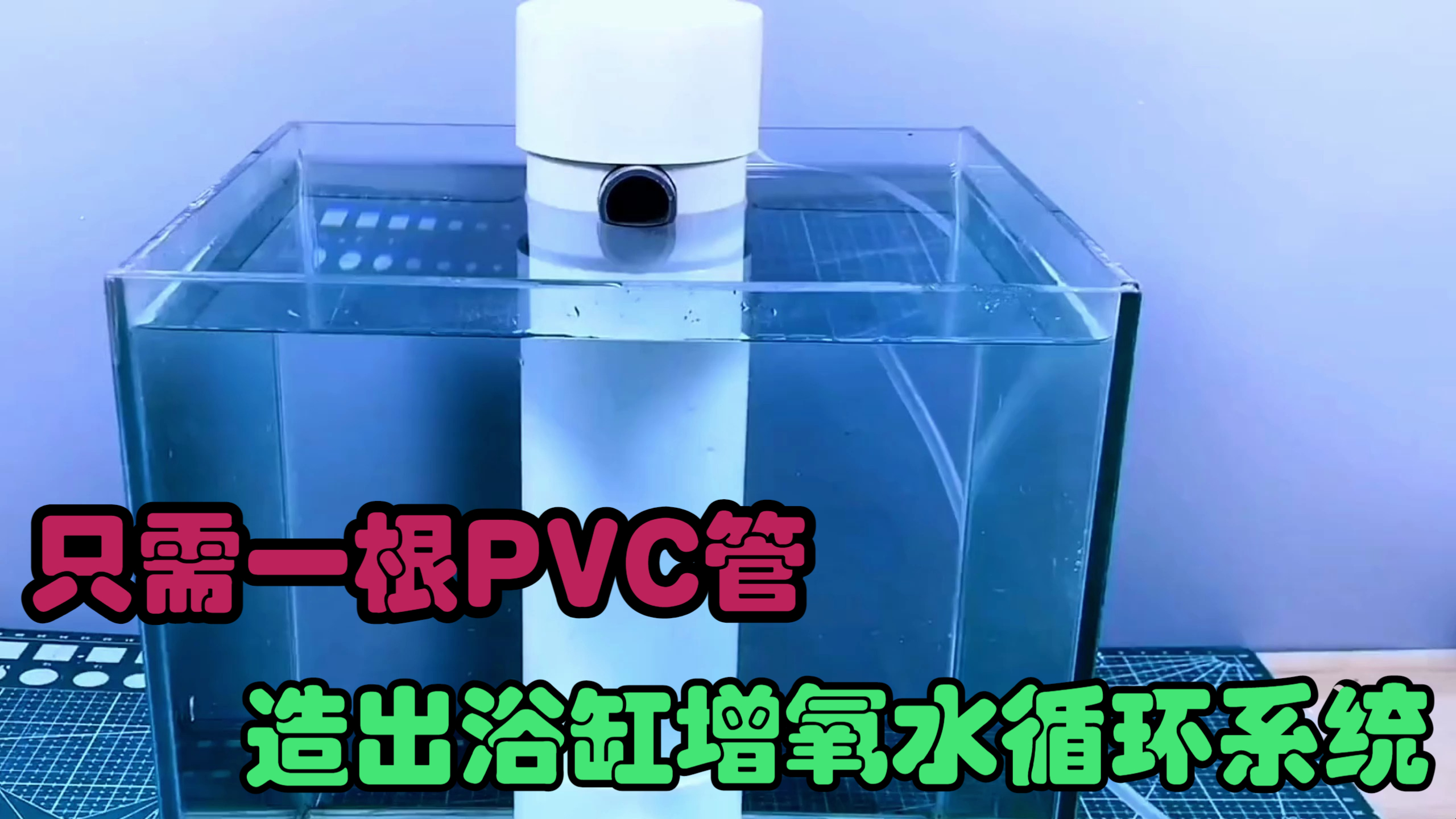 生活小发明,用一根PVC管造出鱼缸增氧系统,你见过吗?