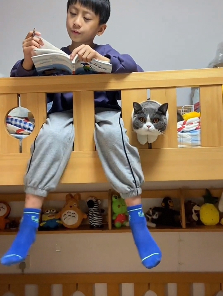 猫咪学小主人晃腿,奈何自己是个小短腿-度小视