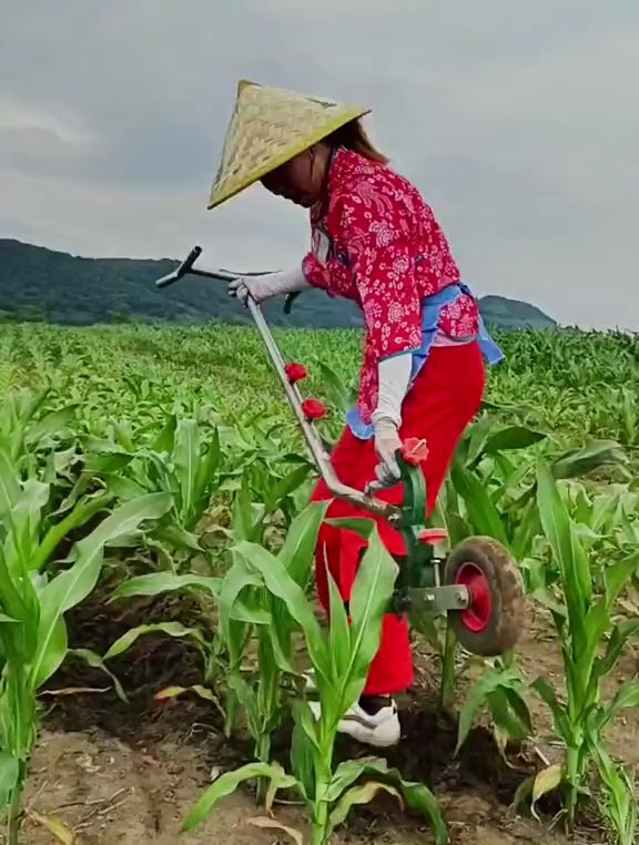 开沟器手拉犁,轻轻一拉就出垄,农村生活