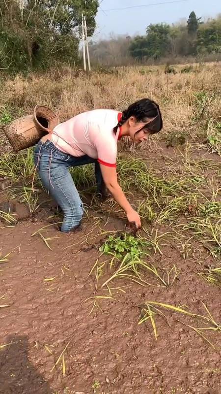 美女捉黄鳝,长得这么可爱,看着还有点心疼呢-度小视