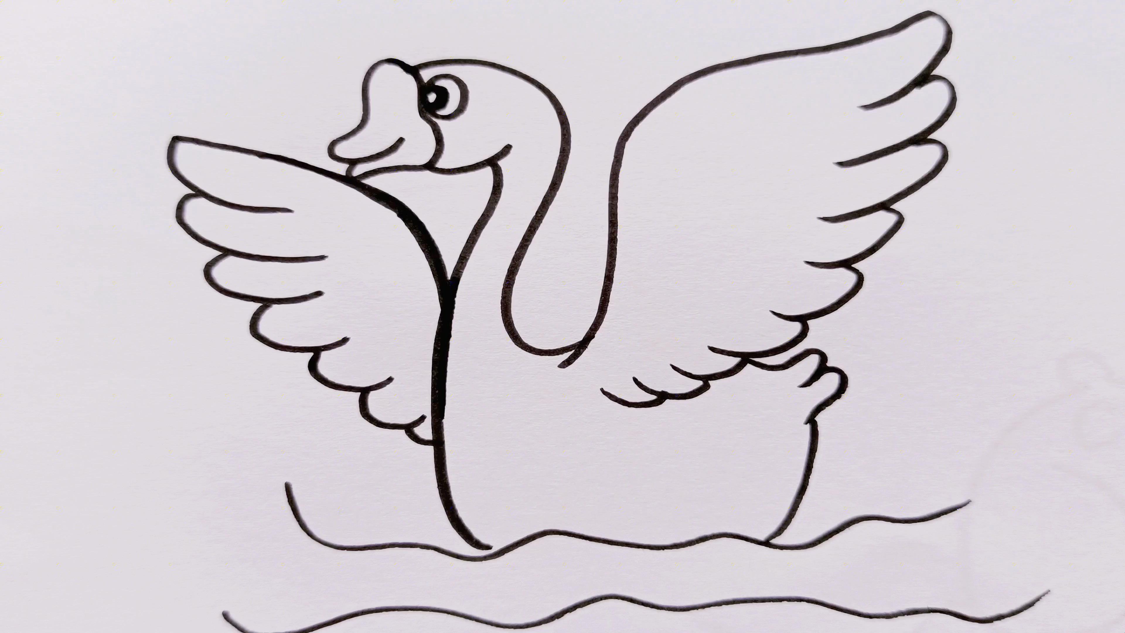 儿童简笔画,在戏水的鹅