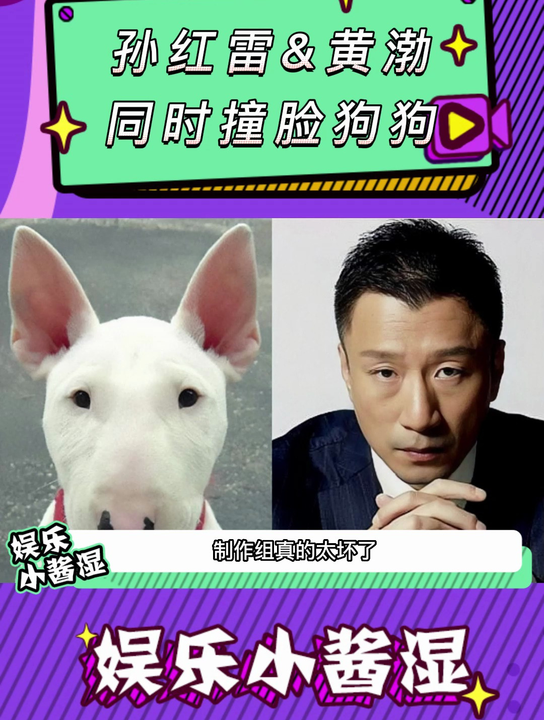 黄渤和柴犬撞脸图片图片