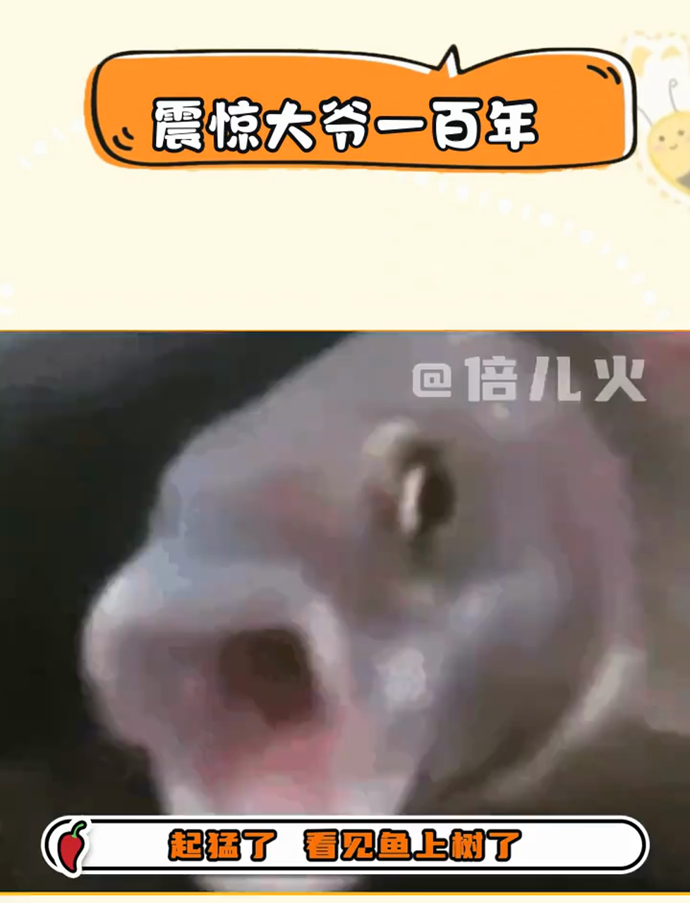 震惊大爷一百年