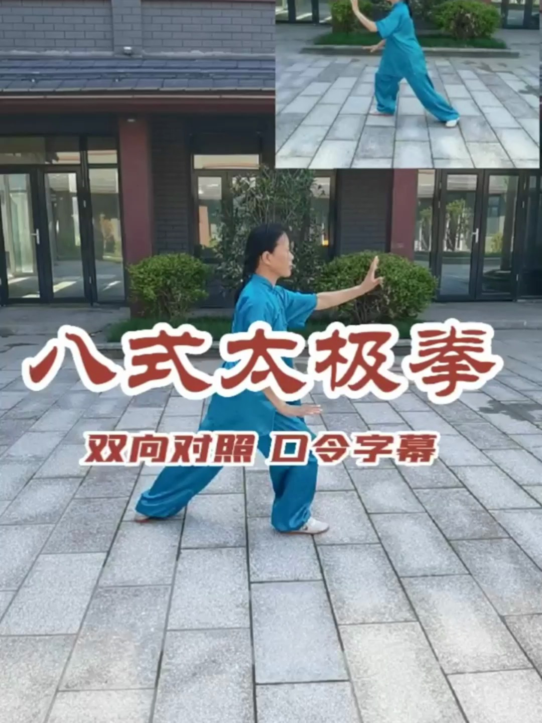 双向对照 便于初学者跟练 八式太极拳
