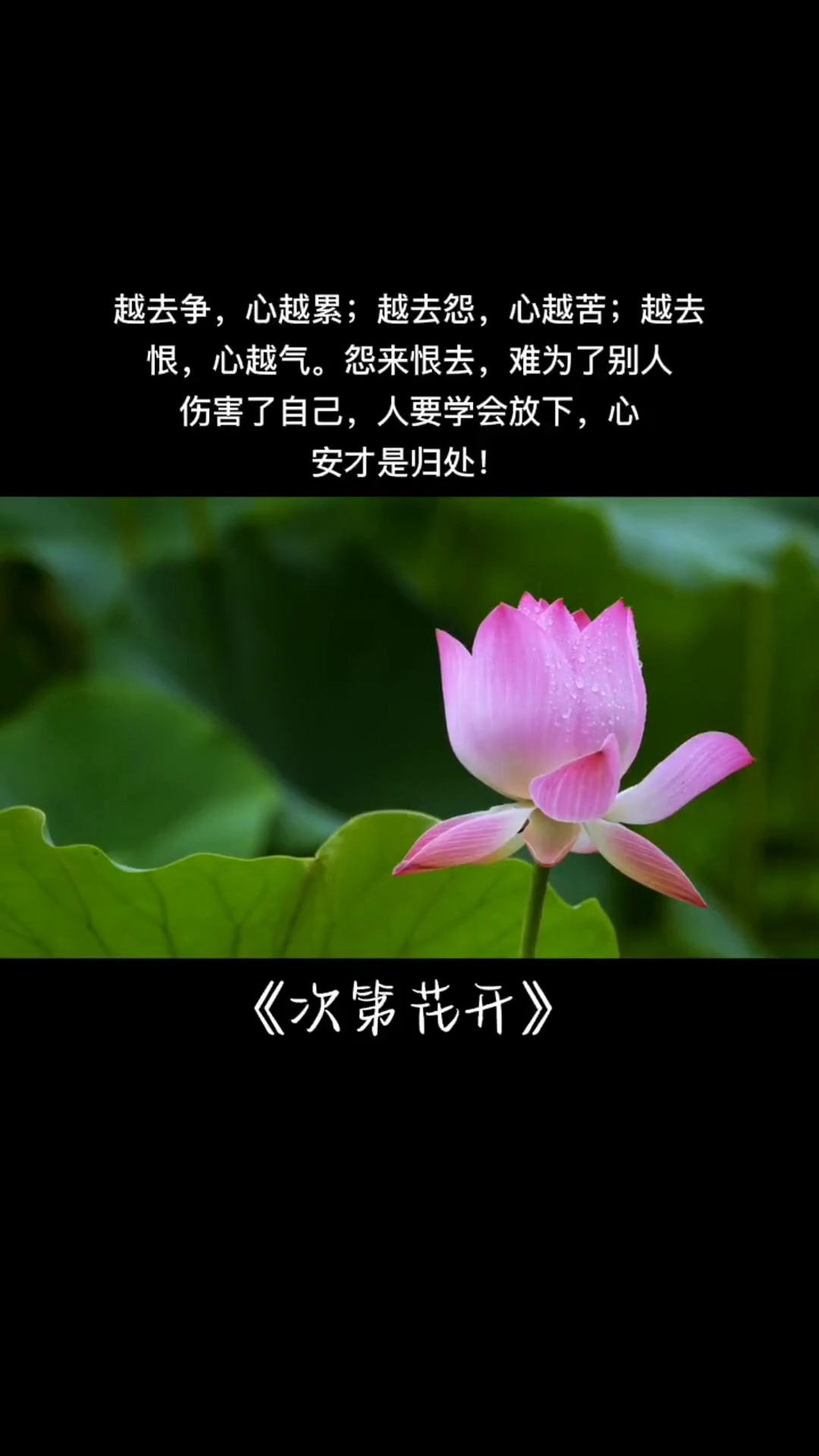 心乱不是好事,让心安-度小视