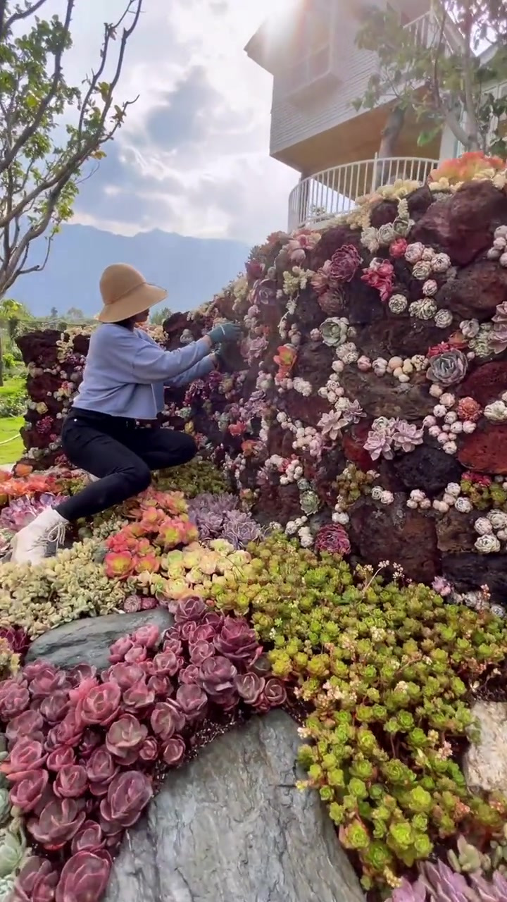 作为猫姑娘多肉做的猫米花园,怎么可以缺多肉造景呢?安排!