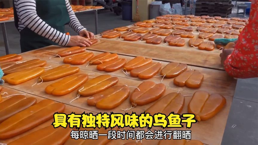 乌鱼子制作全过程,每道工序都非常严谨,做出来的乌鱼子非常诱人
