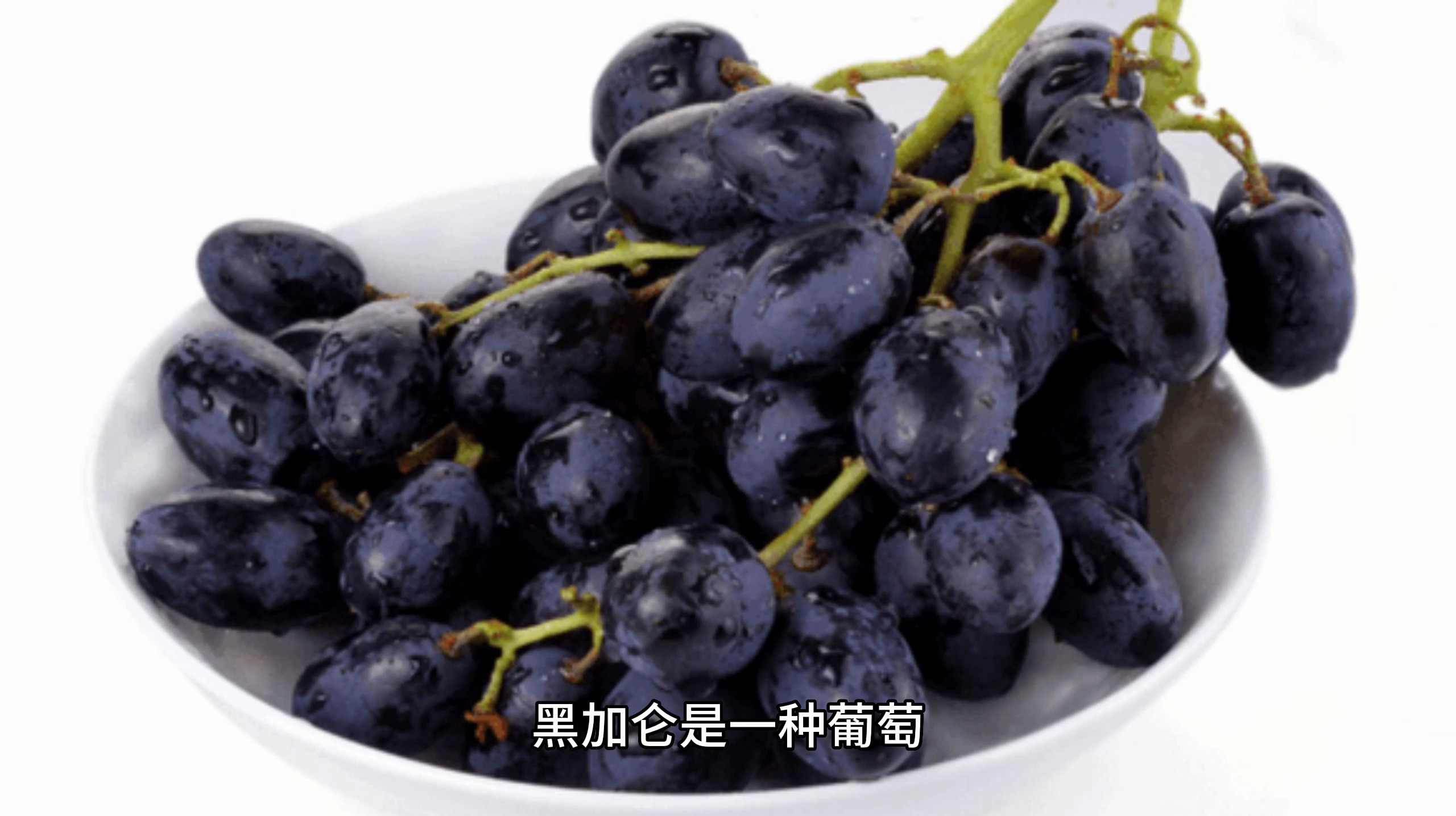 黑加仑是什么水果