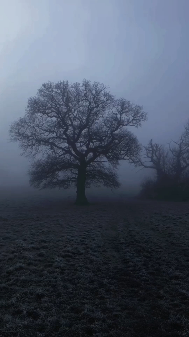 寂静感的美学,即孤独又享受