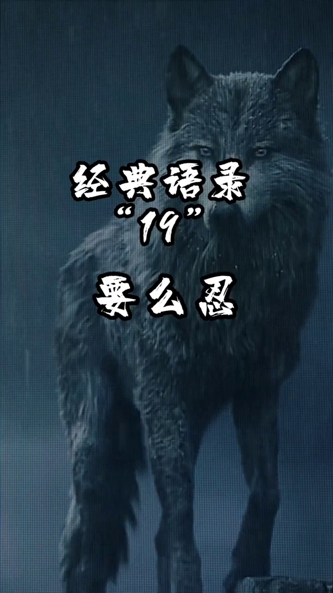 经典语录19狼道狼道精神励志经典语录