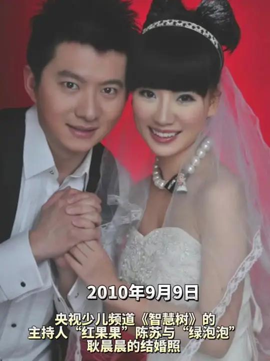央视少儿频道《智慧树》的节目主持人红果果陈苏与绿泡泡耿晨晨的结婚