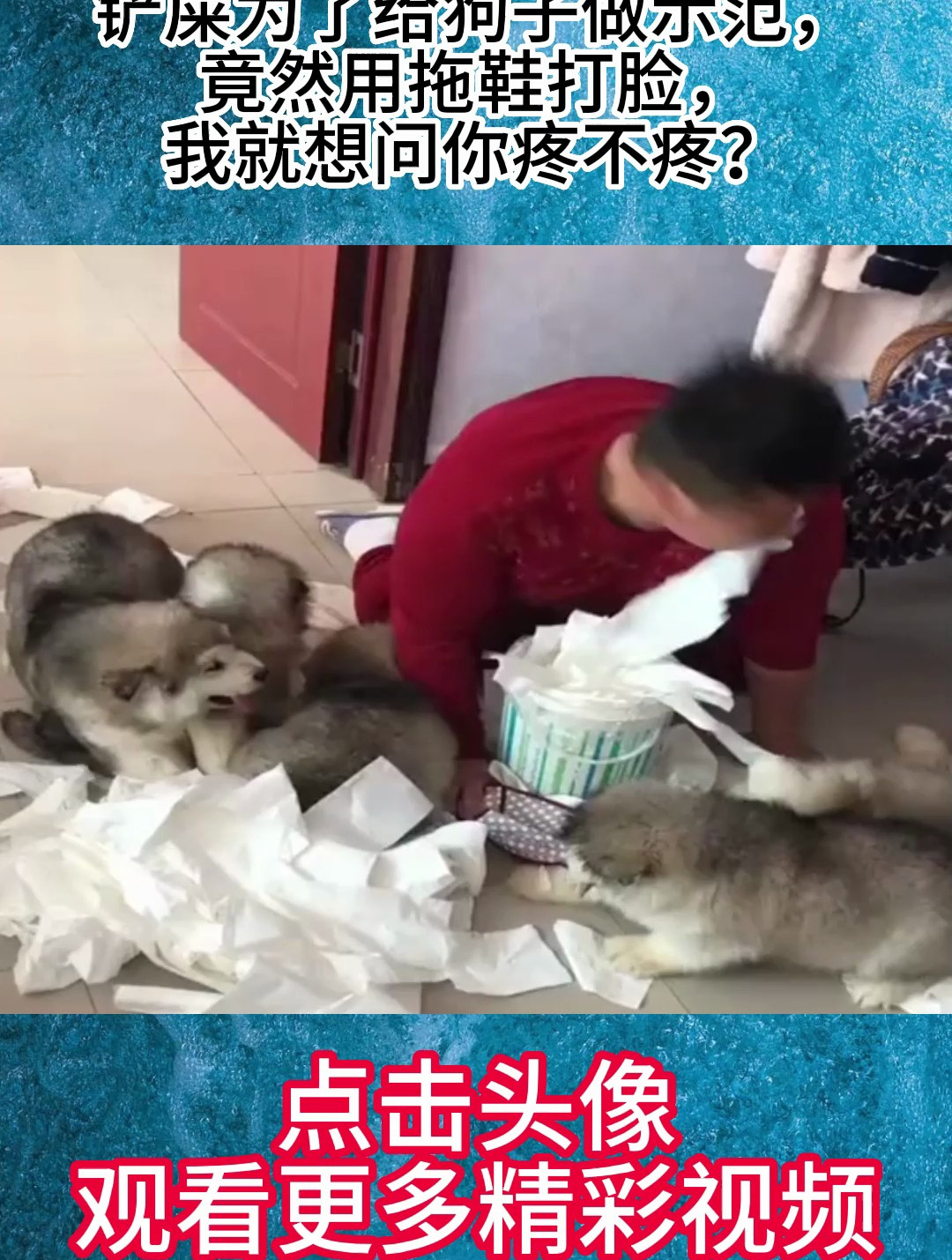 铲屎为了给狗子做示范,竟然用拖鞋打脸,我就想问你疼不疼?-度小视