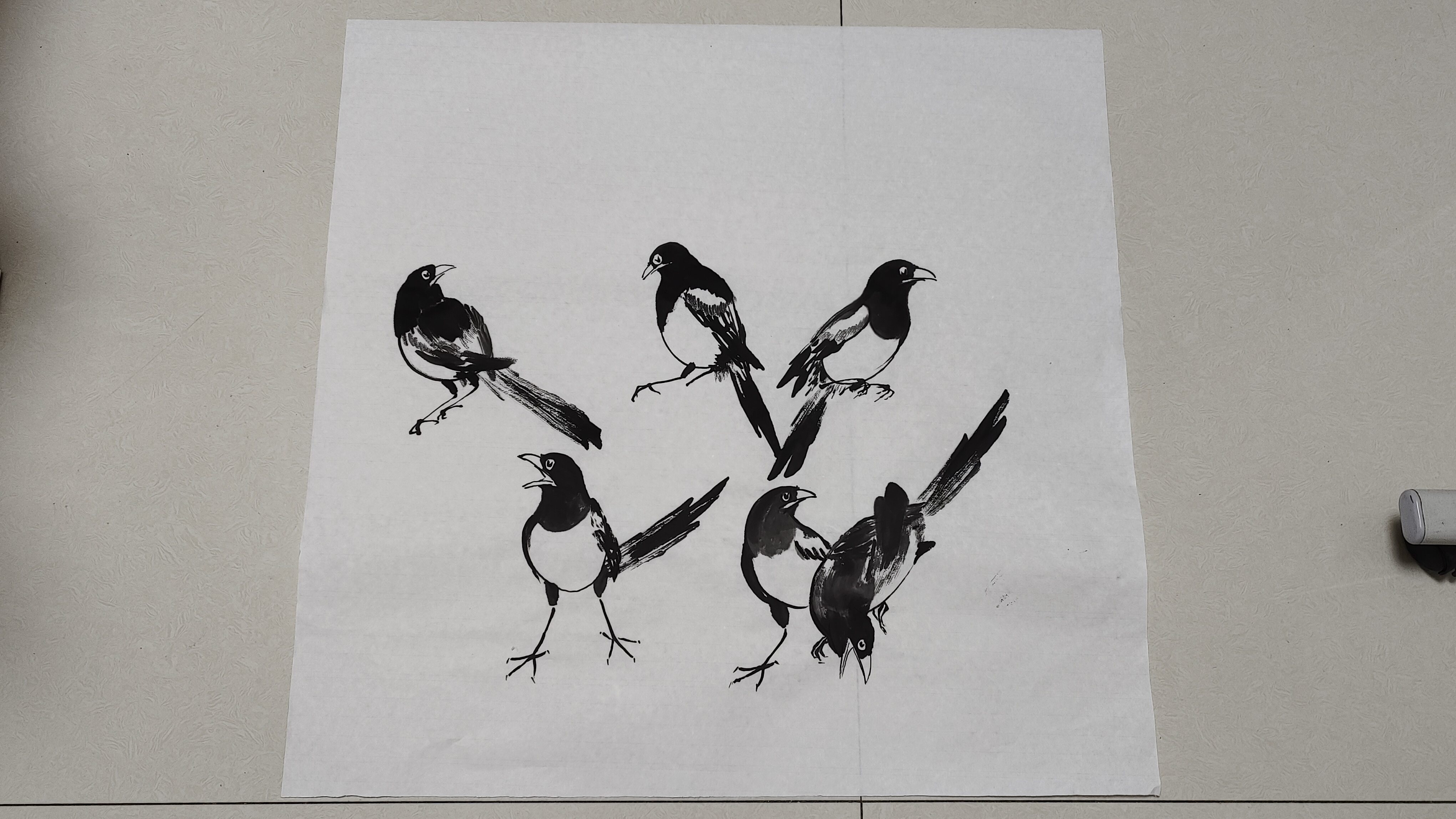 原来画喜鹊还有更快速入门的画法,只需几根线条