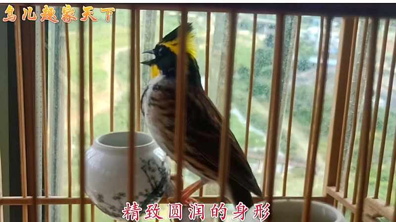 754ee239bbc09d0268163a52bf936da7.jpeg@s_0,w_800,h_1000,q_80