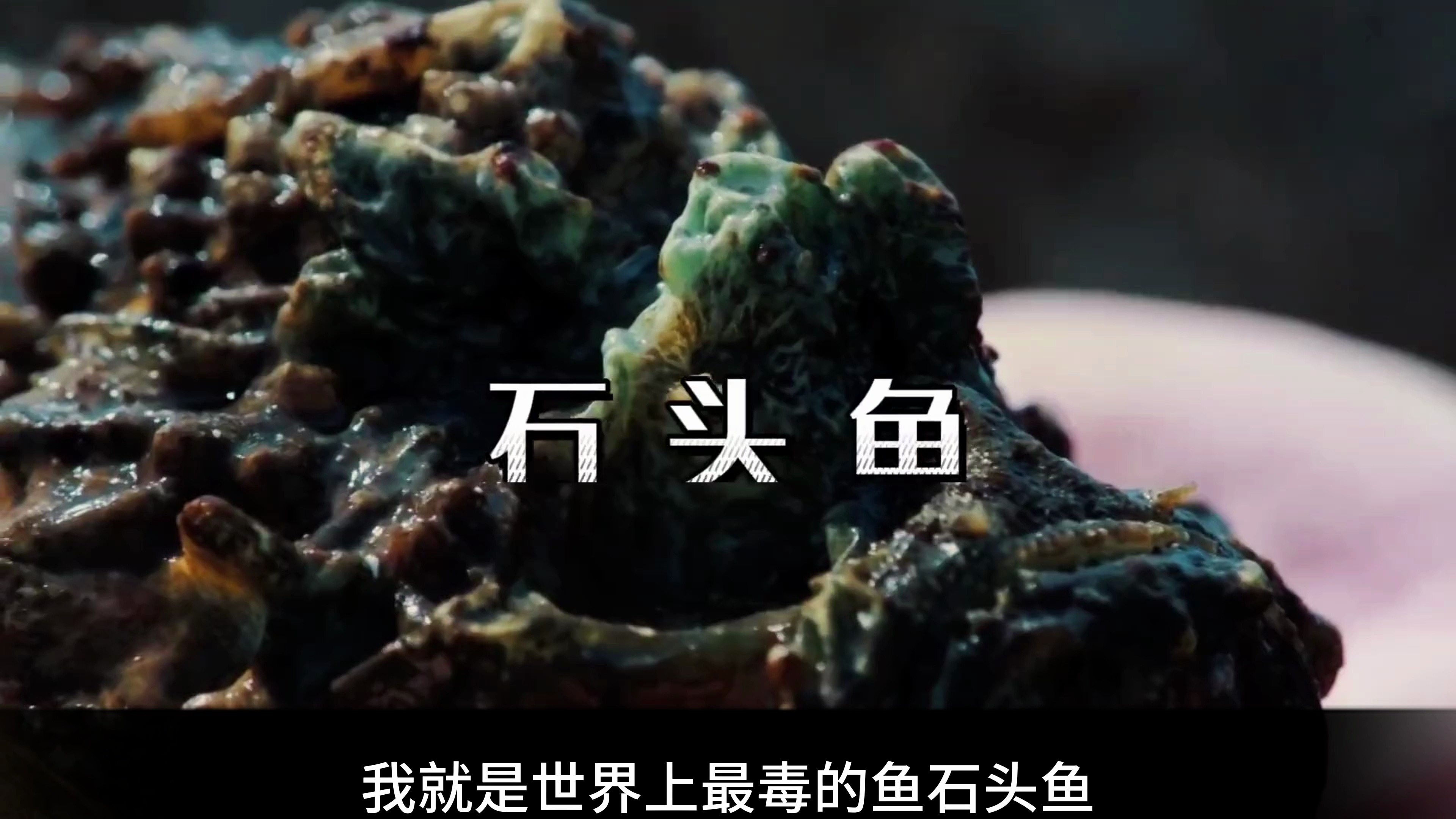 为什么世界最毒的鱼,却最怕中国人?