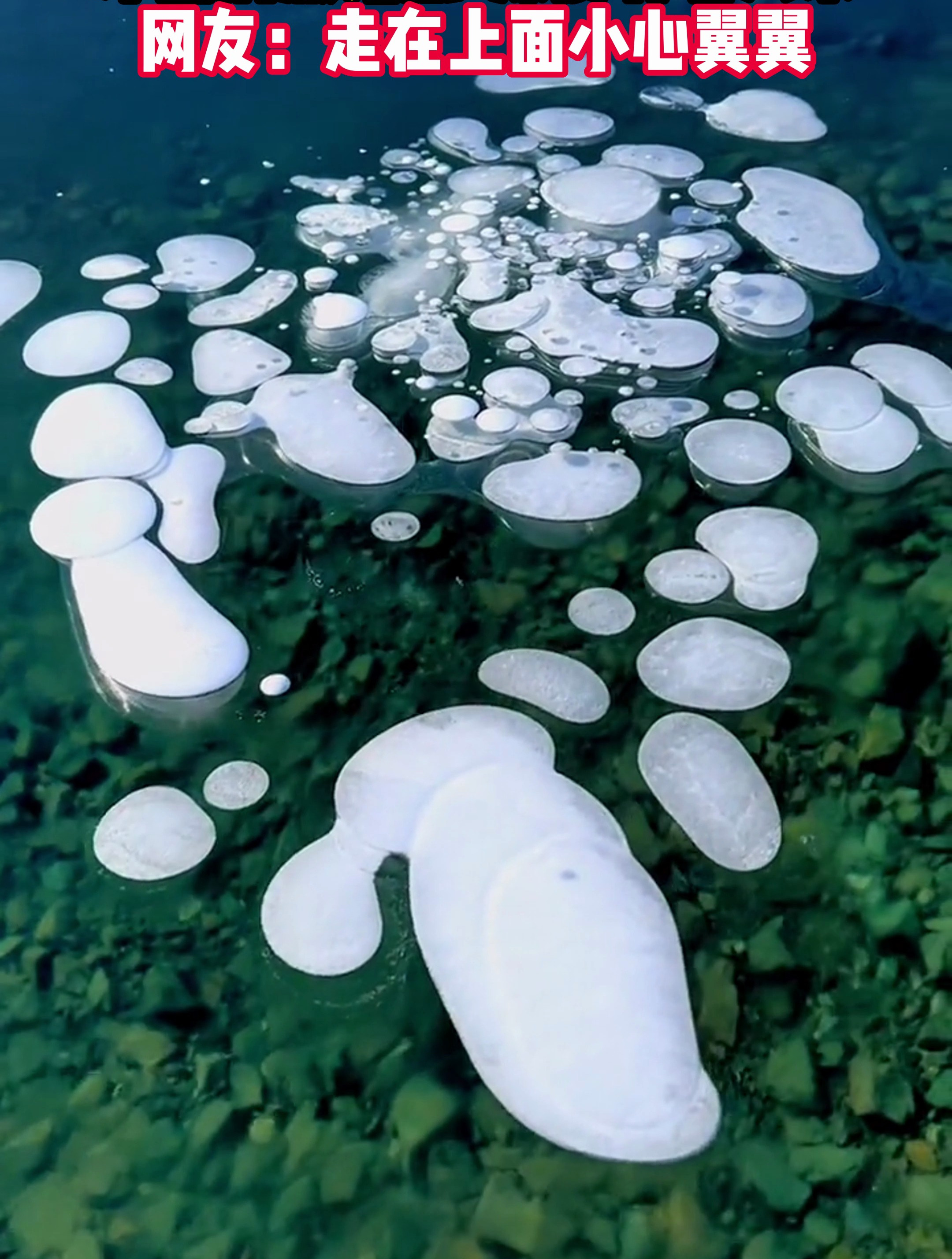神奇的大自然 赛里木湖冰泡泡