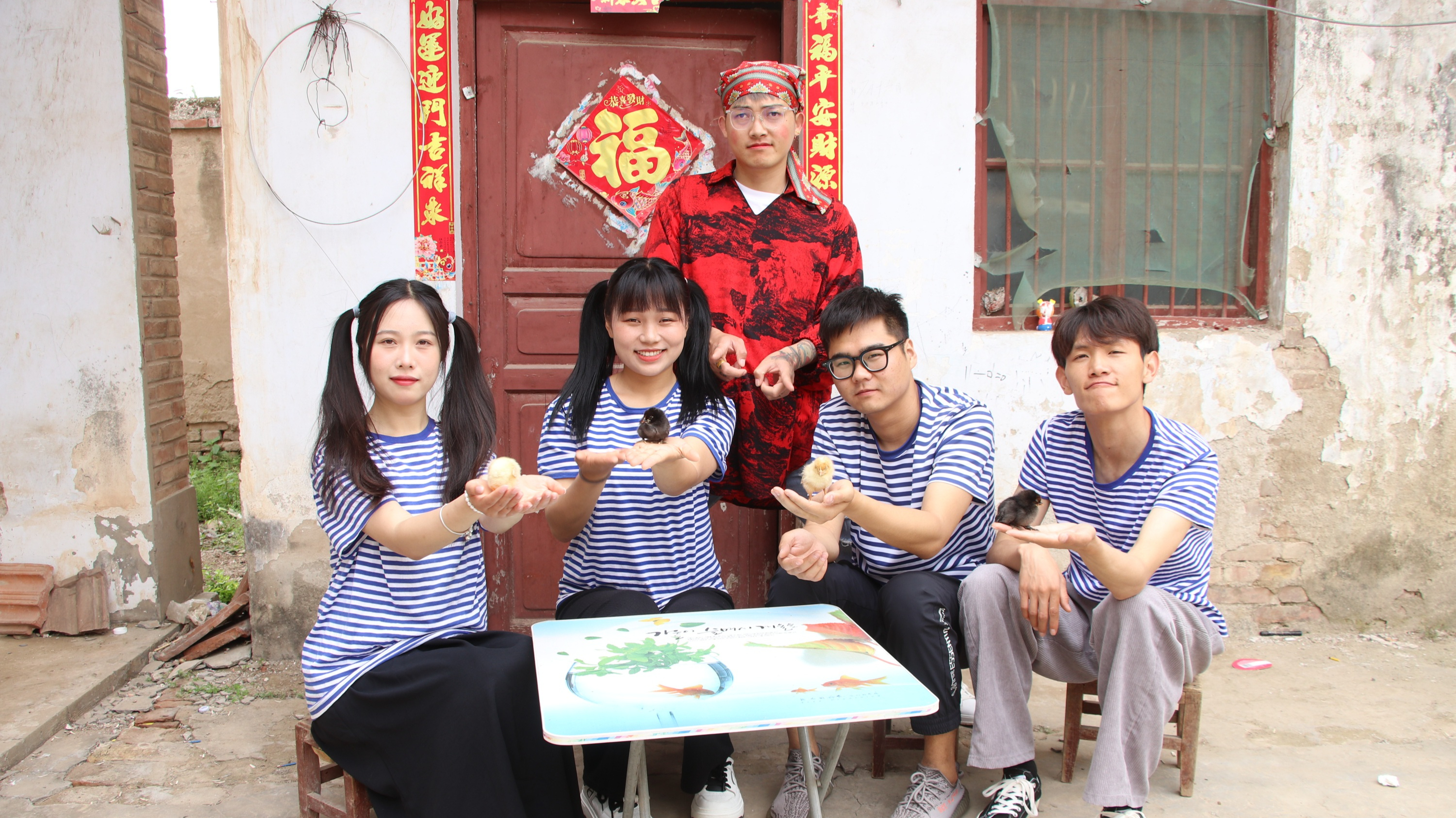 小鸡2:妈妈买的宠物竟是小鸡宝宝,大家一起给小鸡宝宝取名字吧