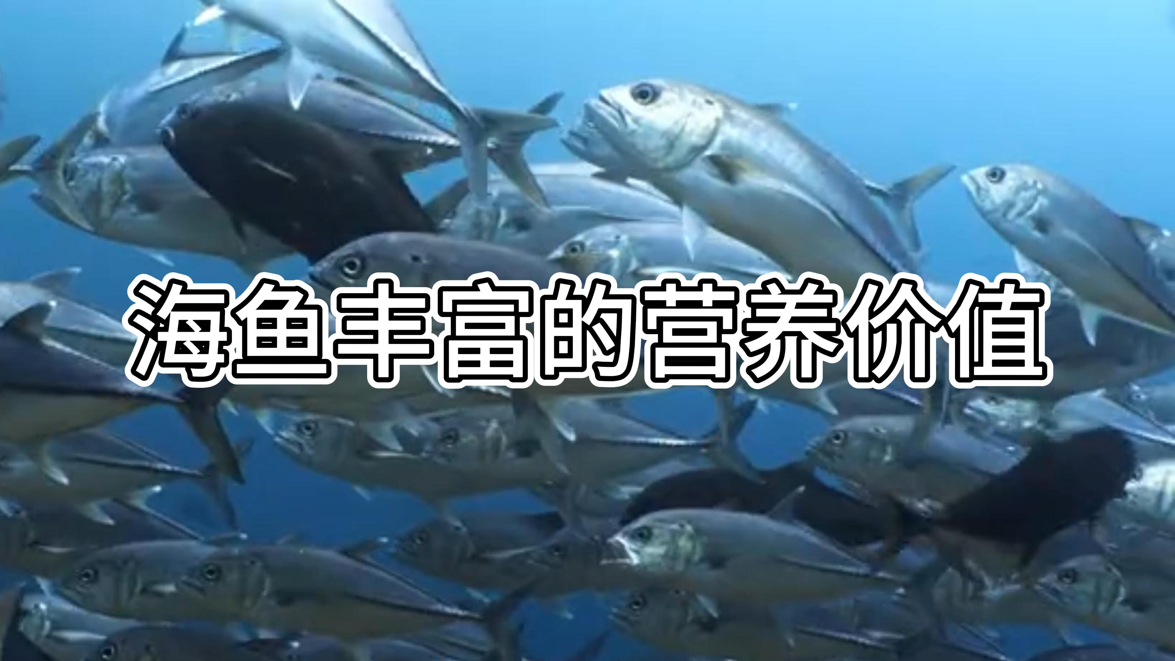 海鱼的营养价值你有好好利用没?