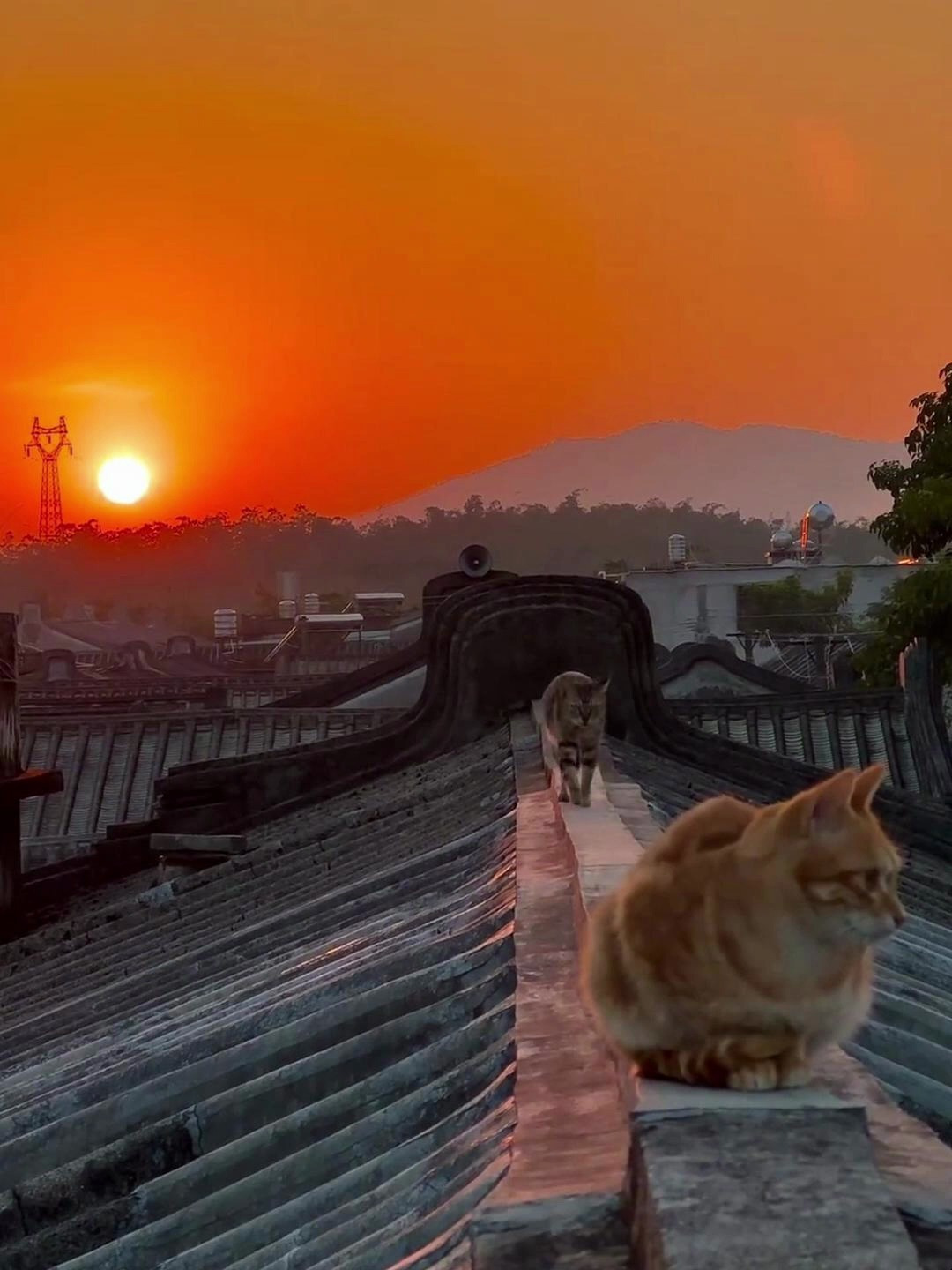 夕阳山外山回家的意义就是让长大的我们做回小孩